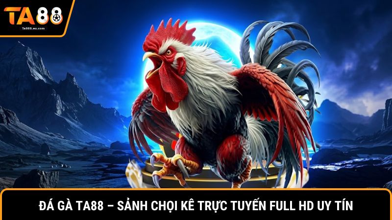 Đá Gà Ta88 – Sảnh Chọi Kê Trực Tuyến Full HD Uy Tín