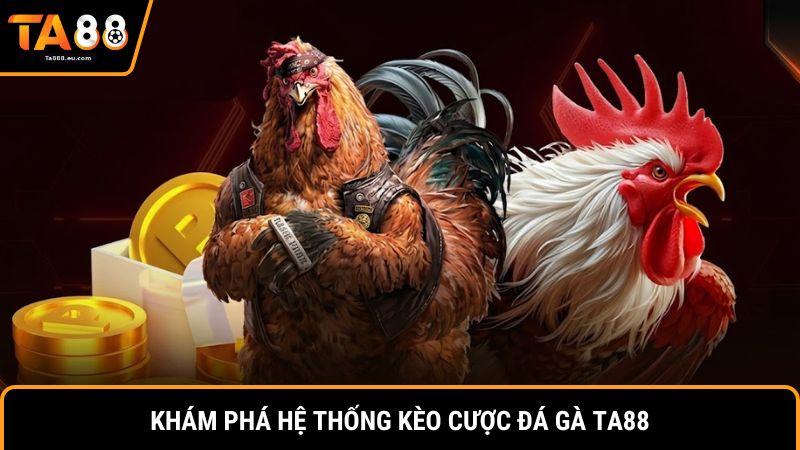Khám phá hệ thống kèo cược đá gà Ta88