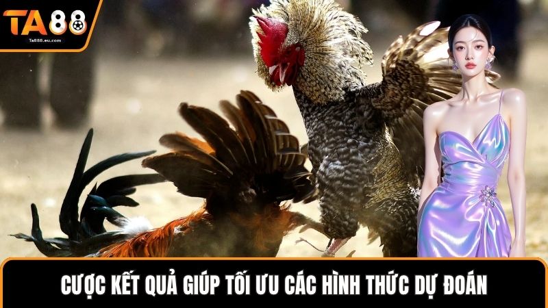 Cược kết quả giúp tối ưu các hình thức dự đoán