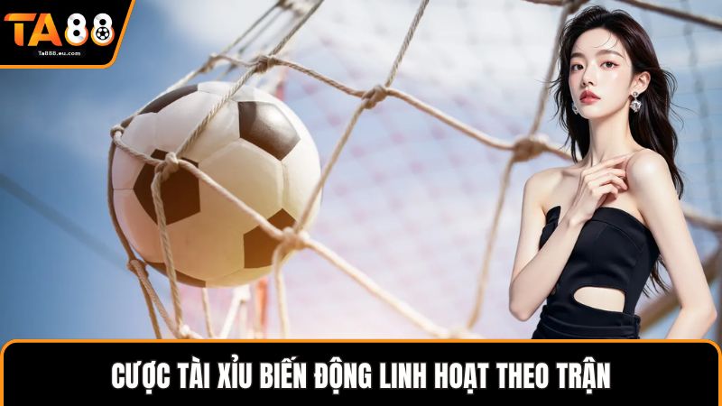 Cược tài xỉu biến động linh hoạt theo trận