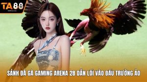 Sảnh Đá Gà Gaming Arena 28 Dẫn Lối Vào Đấu Trường Ảo