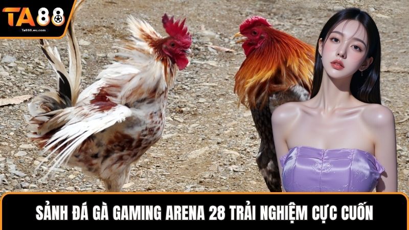 Sảnh đá gà Gaming Arena 28 trải nghiệm cực cuốn