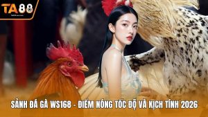 Sảnh Đá Gà WS168 – Điểm Nóng Tốc Độ Và Kịch Tính 2026