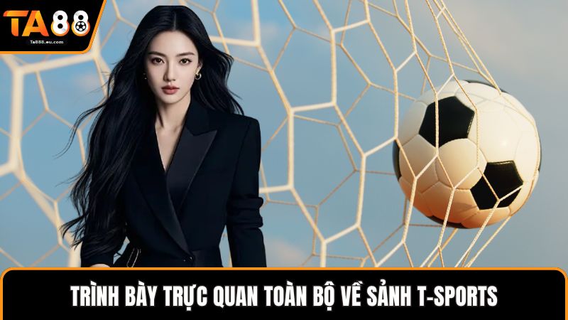 Trình bày trực quan toàn bộ về sảnh T-Sports